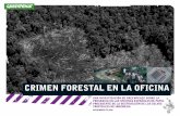 CRIMEN FORESTAL EN LA OFICINA - archivo …archivo-es.greenpeace.org/espana/Global/espana/report/other/crimen... · servilletas, papel higiénico y pañales infantiles. ... El papel