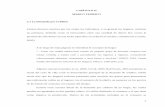CAPÍTULO II MARCO TEÓRICO 2.1 La Demanda por …catarina.udlap.mx/u_dl_a/tales/documentos/lec/lopez_m_ne/capitulo2.pdf · Satélite del Subsector Informal de los Hogares, México,