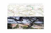 VALDEALGORFA. Provincia de TERUEL. Comunidad … · La piedra es un rodillo de un molino de aceite. Los árboles que se ven en el mapa son olivos. VALDEALGORFA. Coordenadas del reloj