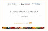EMERGENCIA AGRÍCOLA - sudamericarural.org · ... del Centro- Sur de Chile y que ha causado ... de frutas y hortalizas en sus ... de Coquimbo y el Maule. La industria frutícola chilena