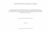 ABUNDANCIA, DISTRIBUCIÓN Y COMPOSICIÓN DE … Biologia_RosalesMeda 2003.pdf · Programa de Investigación y Monitoreo de la Eco región Lachuá- PIMEL- y ... trabajo de campo en
