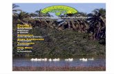 Periodismo para Elevar la Conciencia Ecológicameloncoyote.org/files/meloncoyote_v1_2.pdf · Exponen tanto el esfuerzo por proteger el cocodrilo ... portan la sabiduría tradicional