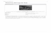 Monstruo del Lago de Tota - Fundación Montecito · Monstruo del Lago de Tota 1 ... se ven los pórticos cuando uno se aleja de las orillas del lago hacía dentro, ... pdf) . / •