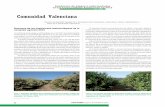 Comunidad Valenciana - phytoma.com€¦Las lluvias caídas en otoño en conjunto han llegado equilibrar la pluviometría ... Uva de vinificación Polilla del racimo (Lobesia botrana)