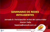 SEMINARIO DE REDES INTELIGENTES · SEMINARIO DE REDES INTELIGENTES Jornada 9: Participación activa del consumidor Hector Peña hepena@ ... 1 feb-24 Introducción Smart Grids (Parte