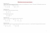 Determinantes - matematicasonline.esº Bach Hum... · Calcula el valor del determinante propuesto en a) y resuelve la ecuación propuesta en b): Ejercicio nº 6.- ... Sabiendo que