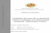La gestión de casos de un paciente crónico complejo …tauja.ujaen.es/bitstream/10953.1/1582/1/TFG Cristina Olmo Ruiz.pdf · 1.2.1 Enfermería de práctica avanzada ... 2.2.2 Diagnósticos