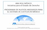 ABA ROLI MÉXICO Iniciativa para el Estado de Derecho PROGRAMA DE …abaroli.mx/.../2015/04/TEMA-3.-Alegatos-de-Apertura.pdf · 2015-04-15 · ELABORAR UN ESQUEMA O ... Armas de fuego