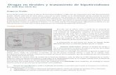 19. Drogas y tiroides y manejo de hipotiroidismo primariomedicina-ucr.com/quinto/wp-content/uploads/2015/02/19.-Drogas-y... · Hipotiroidismo! hipotiroidismo.!!!