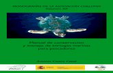 MONOGRAFÍAS DE LA ASOCIACIÓN CHELONIA … · En las aguas españolas se han registrado seis de las siete especies de tortu-gas marinas que existen; ... marinas, así como a otras