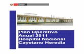 Plan Operativo Anual 2011 Hospital Nacional Cayetano … · 2013-03-01 · DIAGNOSTICO SITUACIONAL 2.1 Análisis de la demanda. ... sistema de salud fortalecido, integrado, eficiente,