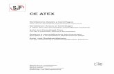 CE ATEX - statics.solerpalau.com · - Arrancar el motor verificando que la corriente absorbida en funcionamiento no rebase ... monitorización de la temperatura de los cojinetes y