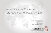 Importancia del Comercio Exterior en la …ucsp.edu.pe/archivos/comercioexterior/2017/Importancia-del-comer... · •La actividad económica peruana, en 2016, alcanzó un dinamismo