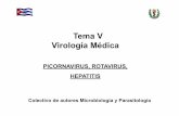 Tema V Virología Médica - uvsfajardo.sld.cuuvsfajardo.sld.cu/.../files/iv_picornavirus_hepatitis_y_rotavirus.pdf · cadena única, lineal, en sentido positivo. •La replicación