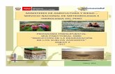 MINISTERIO DE AGRICULTURA Y RIEGO – SERVICIO NACIONAL DE ... · “Reducción de la Degradación de los Suelos Agrarios” 1.2. ... Un análisis realizado por la CEPAL (2009) en