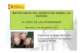 IMPORTANCIA DEL BIENESTAR ANIMAL EN ESPAÑA · Valorización comercial del modelo Funcionamiento equilibrado de la cadena de valor Política comercial internacional Reciprocidad .