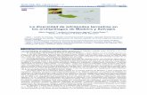 La diversidad de artrópodos terrestres en los ...sea-entomologia.org/IDE@/revista_06A.pdf · Aguas abajo y cerca de las desembocaduras la mayoría de arroyos presenta una baja calidad