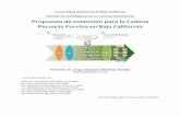 Propuesta de extensión para la Cadena Pecuaria Porcina en ...pedagogia.mxl.uabc.mx/CERI/Productos Académicos/Proyectos... · Las observaciones realizadas por la OCDE pueden resumirse