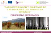 “CARACTERIZACION Y OBJETIVOS DE - …agro-alimentarias.coop/ficheros/doc/02851.pdf · produccion de vino 7. analisis estructural del sector vitivinicola 8. analisis dafo 9. problematica