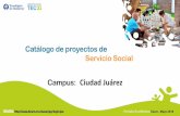 Presentación de PowerPoint - tec.mx · administrativas y operativas de la organización de acuerdo a necesidades y carrera de los alumnos. • Participación en campañas de promoción