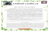 Carta de bienvenida de Lembaiesfelixburgos.centros.educa.jcyl.es/sitio/upload/Carta...Lemba&es&una&dulce&chimpancé&rescatada&en&2009&en&Tchimpounga.Cuando&llegó,&con&apenas&2 …