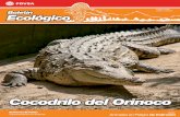  · ... en tanto que los adultos se alimentan de peces ... Animales en Peligro de ... sobre el Comercio de Especies Amenazadas de Fauna y Flora (CITES). En Venezuela se ...