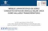 MANEJO LAPAROSCOPICO DE DOBLE CONDUCTO …congresoamce2018.mx/PDF/Pantalla002/1340.pdf · biliares extrahepáticas e irrigación en un 33% de los pacientes; ... Material y métodos