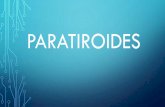 Paratiroides · denomina hiperparatiroidismo y el nivel de calcio en la sangre aumenta. En muchos casos, un tumor benigno en las paratiroides aumenta su actividad. En otros casos,