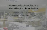 Neumonía Asociada a Ventilación Mecánicaintensivo.sochipe.cl/subidos/catalogo3/NAVM JUNIO.pdf · •Referente evaluación calidad ... > 1año Uno de los siguientes criterios clínicos