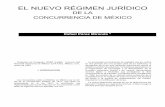 EL NUEVO RÉGIMEN JURÍDICO - azc.uam.mx · Los monopolios están prohibidos en México por el art. 28 de la Constitución Política ... EL NUEVO RÉGIMEN JURÍDICO DE LA ... capitalista