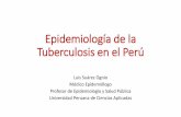 Epidemiología de la Tuberculosis en el Perú · tasa de meningitis tb en niÑos menores de 5 aÑos. perÚ. 1995 ... tasa de morbilidad, mortalidad y letalidad de tuberculosis. perÚ.