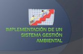 Aspectos a tener en cuenta - Andrea Wanumenelectivaycontexto.wdfiles.com/local--files/ambiental/Implementacion... · Clasificación de los indicadores ... ISO 14004 Guía General