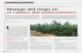 NECESIDADES DE RIEGO Y MANEJO DEL RIEGO … · os cultivos requieren el agua para mantenersu sistema productivo activo y básicamente sus dos procesos ... agroclimáticas y de un