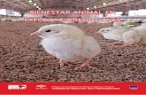 AGRICULTURA FORMACIÓN GANADERIA … · la tercera en número de pollos sacrificados y la sexta en número de explotaciones de gallinas ponedoras. Actualmente cuenta con más de 1.200