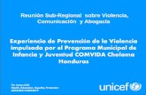 Experiencia de Prevención de la Violencia impulsada … · Programa Municipal de Infancia y Juventud 1) Participación y Construcción de Ciudadanía. 2) Coordinación y concertación