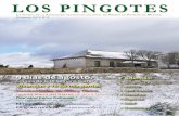 LOS PINGOTES - Asociación de Amigos de Fuentes de Magaña, Soria - Asociación de ... · 2015-12-08 · de la asociación, así como de la historia, las tradiciones, la gastronomía,