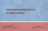 MARCADORES BIOQUÍMICOS DE PREECLAMPSIAalcoy.san.gva.es/laboratorio/Web/PREECLAMPSIA.pdf · importante (parto pretérmino, retraso crecimiento intrauterino (CIR), desprendimiento