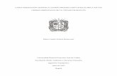 María Camila Polanía Betancourt - RIUD: Página de iniciorepository.udistrital.edu.co/bitstream/11349/6197/1/Polania... · Interpretación Geoeléctrica y Estratigráfica del SEV