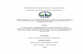 UNIVERSIDAD TECNOLÓGICA EQUINOCCIAL …repositorio.ute.edu.ec/bitstream/123456789/3430/1/51220_1.pdf · Profesora Nelly María Caicedo Reinado , para optar el Grado Académico de