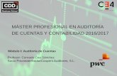 MÁSTER PROFESIONAL EN AUDITORÍA DE CUENTAS Y CONTABILIDAD ... · 150.000 euros / Umbral de incorrecciones: ... MÁSTER PROFESIONAL EN AUDITORÍA DE CUENTAS Y CONTABILIDAD 2016/2017Máster