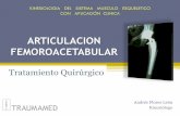 ARTICULACION FEMOROACETABULAR - kinex.cl QUIRURGICO.pdf · Guía Clínica Endoprótesis Total de Cadera en personas de 65 años y más con Artrosis de Cadera con Limitación Funcional