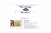 CODIGO NACIONAL DE ELECTRICIDAD UTILIZACIÓN Sección 70 – Métodos de ...intranet2.minem.gob.pe/web/archivos/dge/eventos/6. Miercoles... · CODIGO NACIONAL DE ELECTRICIDAD UTILIZACIÓN