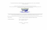 UNIVERSIDAD REGIONAL AUTÓNOMA DE LOS …186.3.45.37/bitstream/123456789/3390/1/TUAMSP007-2014.pdf · Procedimiento metodológico -----42 2.1. Caracterización del sector ... -Aerosolterapia