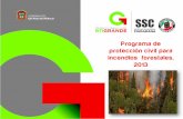 Programa de protección civil para incendios forestales, … · vegetales, pudiendo estar vivos o muertos (plantas y leña respectivamente) y ... localización e identificación de