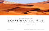 EXPERIENCE NAMIBIA en 4x4 - Único Viajes - … una enorme variedad de antílopes que se encuentran en grandísimas manadas. Felinos, elefantes, jirafas, rinocerontes y una gran diversidad