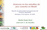 Avances en los estudios de pos cosecha en Brasillac.harvestplus.org/wp-content/uploads/2015/02/Avances-poscosecha... · •un 35% de las madres tenían menos de 3 años de escolaridad.