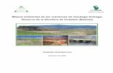 Mejora ambiental de las marismas de Gautegiz … · Mejora ambiental de las marismas de Gautegiz-Arteaga, Reserva de la Biosfera de Urdaibai (Bizkaia) DOSSIER INFORMATIVO 1 OBJETO