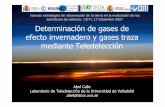 Nuevas estrategias de observación de la tierra en la ...ceh-flumen64.cedex.es/Ecosistemas/ObservaciónTierra/Calle_CDTI... · Determinación de gases de efecto invernadero y gases