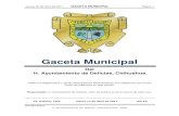 GACETA MUNICIPAL - Municipio de Delicias, Chih. - …municipiodelicias.com/images/transparencia/2017/gacetaMunicipal/10... · ... las siguientes consideraciones para las estructuras