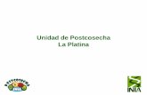 Unidad de Postcosecha La Platinaplatina.inia.cl/postcosecha/docs/charlas/2013/ReunionPostcosecha... · Enfermedades Unidad de Postcosecha INIA Fisiología Carozos, kiwi, pomáceas